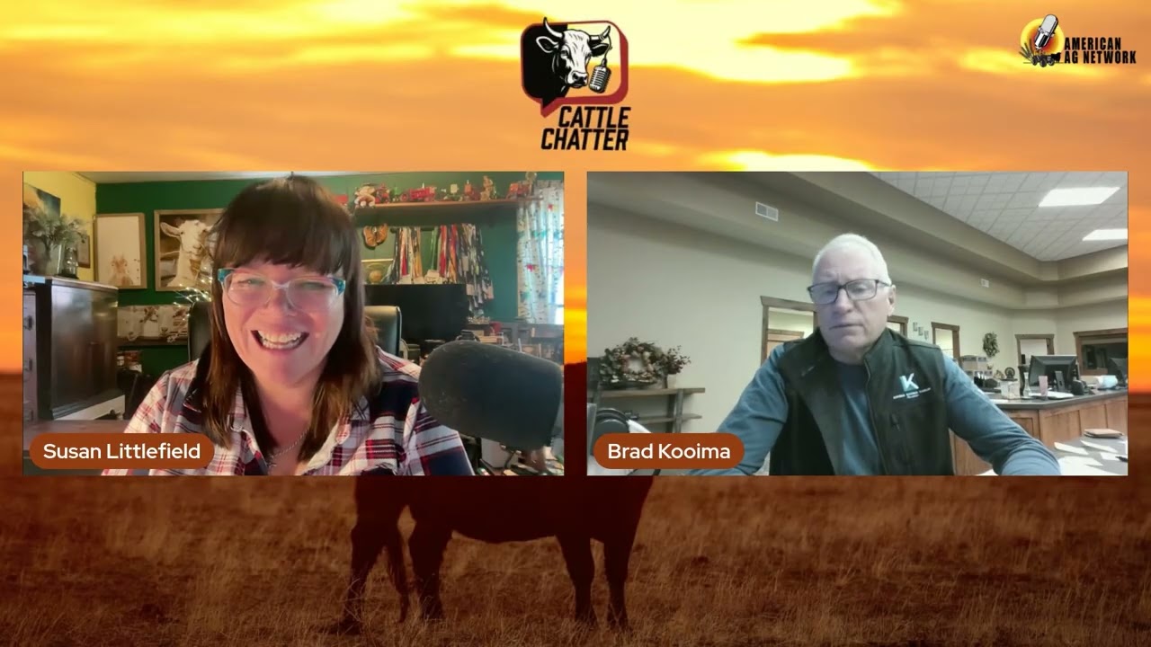 Tyson Casts a Dark Cloud Over the Cattle Market | 11/26/25 Cattle Chatter