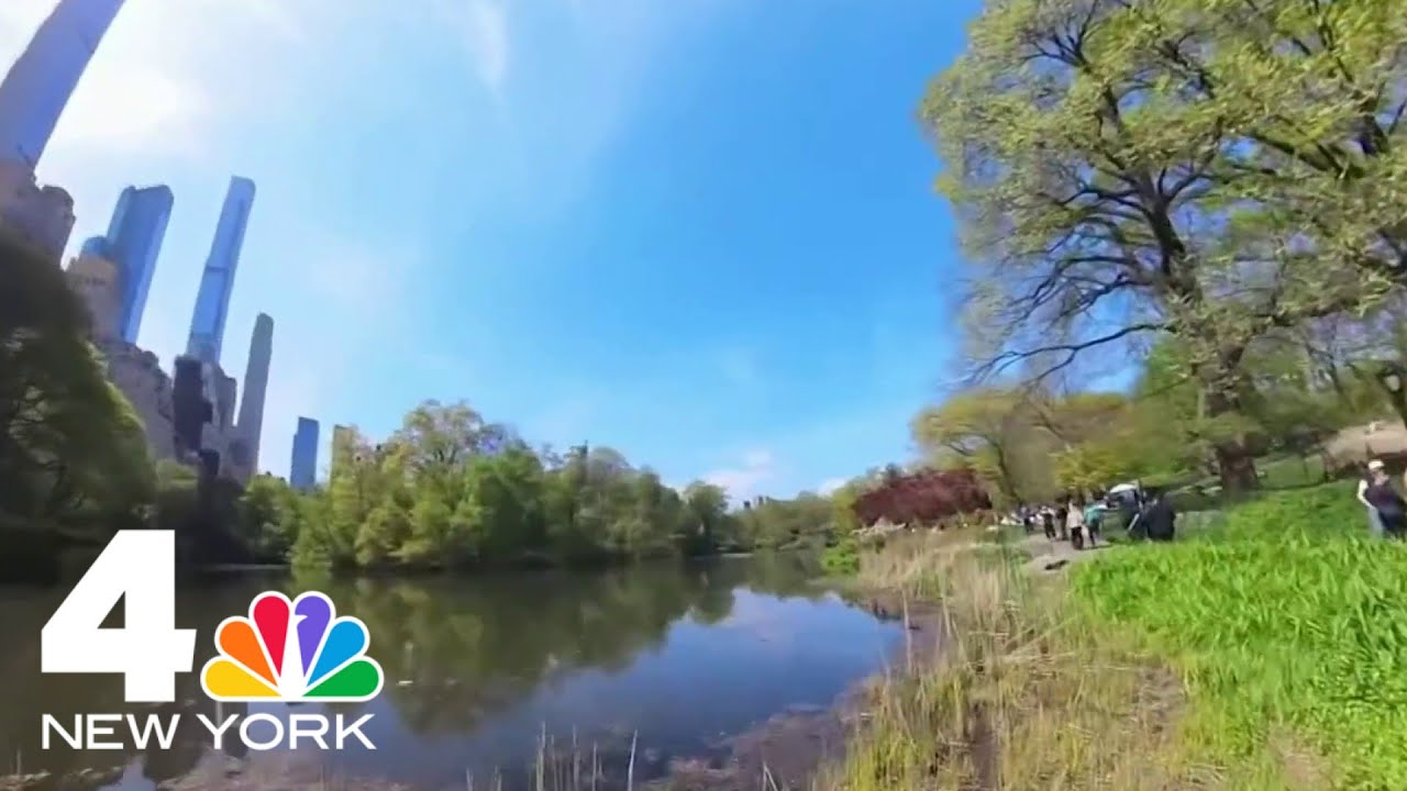 Police investigate two violent robberies in NYC's Central Park | NBC ...