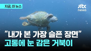 "가장 슬픈 장면" 고통에 눈 감은 멸종위기종｜지금 이 뉴스