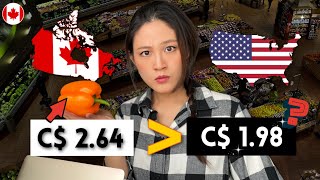 Why are groceries in Canada more expensive?🥩🍍💰 by Living in Canada 29,062 views 3 weeks ago 14 minutes, 59 seconds