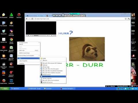 open www.hurr-durr.com if you going to watch some virus