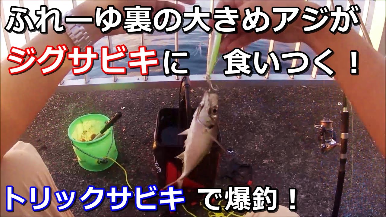 ふれーゆ裏 良型アジがジグサビキのメタルジグに食いついてきた Youtube