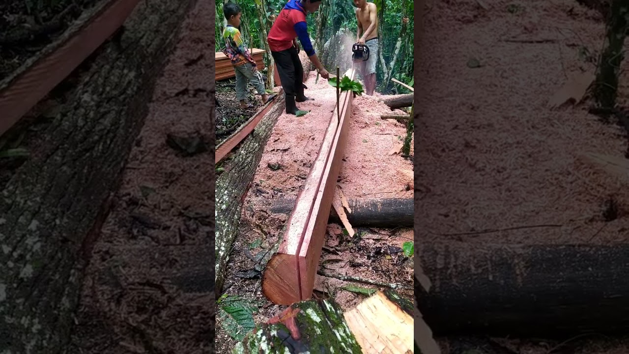 chainsaw new west 88pro