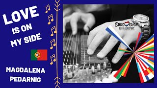 Love Is On My Side - The Black Mamba Zither Cover