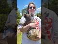 good dug #lewiscapaldi #koala #kangaroo