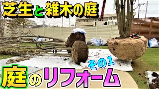 【庭、植木、シンボルツリー】巨大アオダモを徹去してカツラを植えて、庭のリフォームをしてみました！