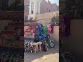 Ramadan_Amazing time in Egypt #rurallife #エジプト