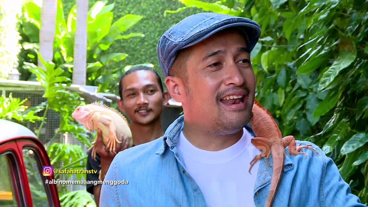 Perbedaan Albino Pada Binatang, Ada Jenisnya Juga Loh | Best Moment