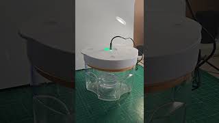 Using Vacuum Chamber for Making Art Toys #craft #vacuumchamber #resin