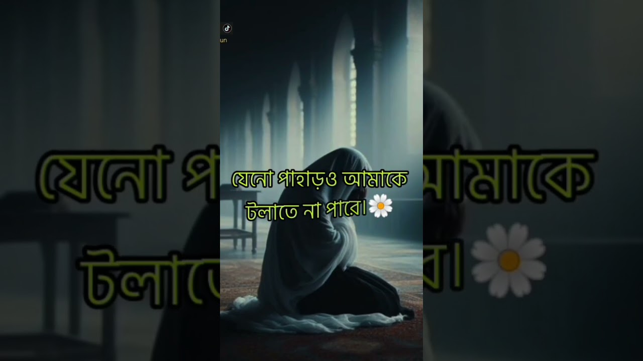 Guided by Faith on the Path of Halal Living