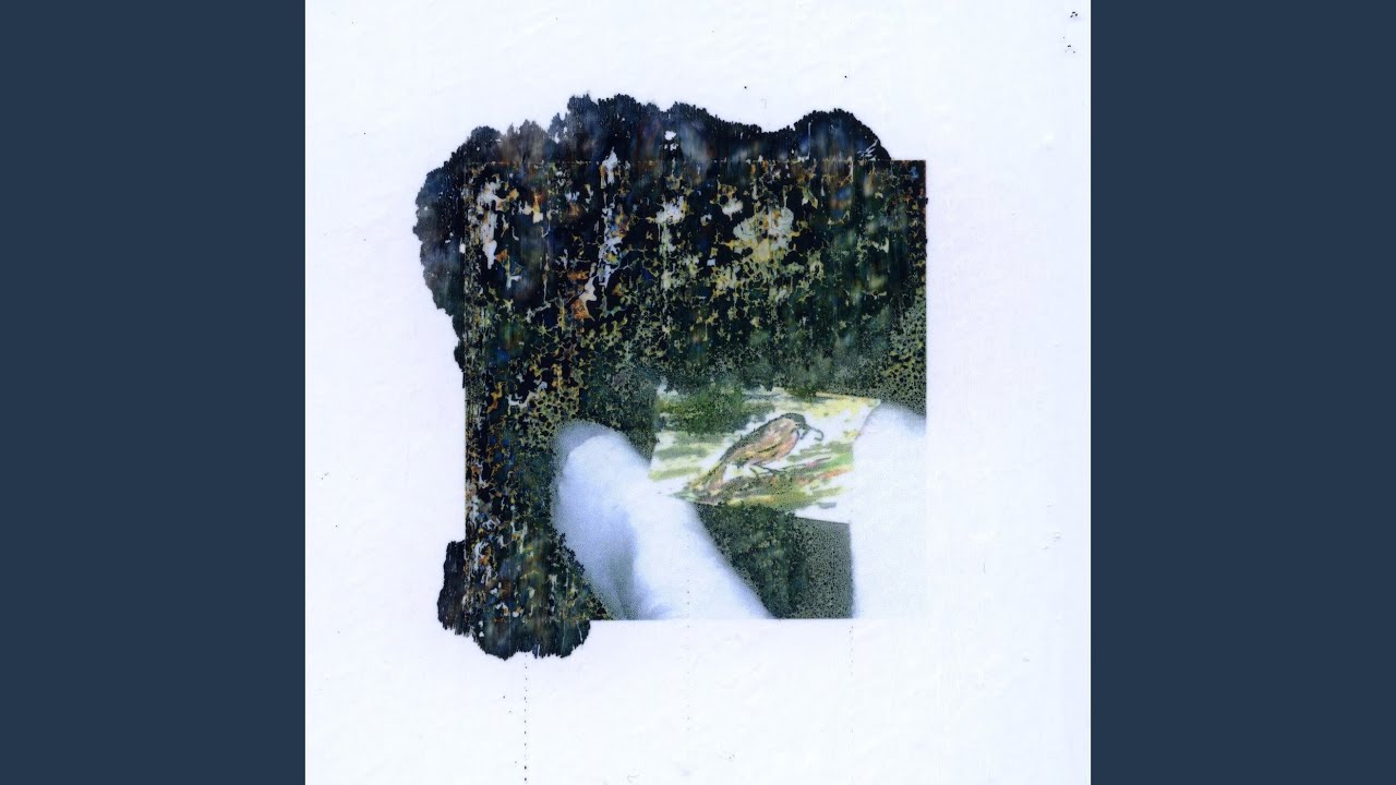 Watch Squirrel on YouTube Watch Squirrel on YouTube