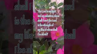 THE LORD IS MY LIGHT #Shorts #Bible #Verse #Word #Scripture