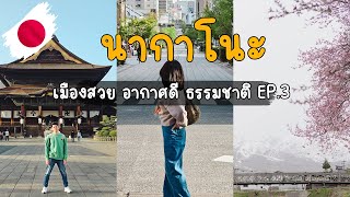 🇯🇵 เที่ยวญี่ปุ่น 3/3 นากาโนะ ขับรถเที่ยวฮาคุบะ รายล้อมไปด้วยธรรมชาติ | VLOG EP.10