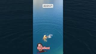 good job doggy #highlightseveryone #viralvideo #subcriber_to_my_youtube_channel #youtuber #follower