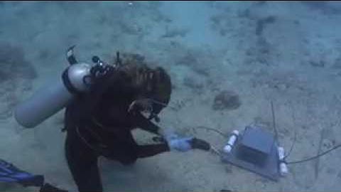 Autonomous Reef Monitoring Structures