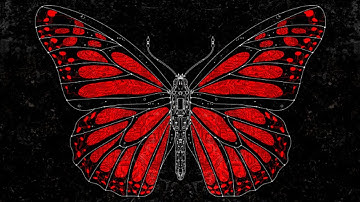 How to Stop an Army of 14 Million Zombie Computers🎙Darknet Diaries Ep. 94: Mariposa Botnet