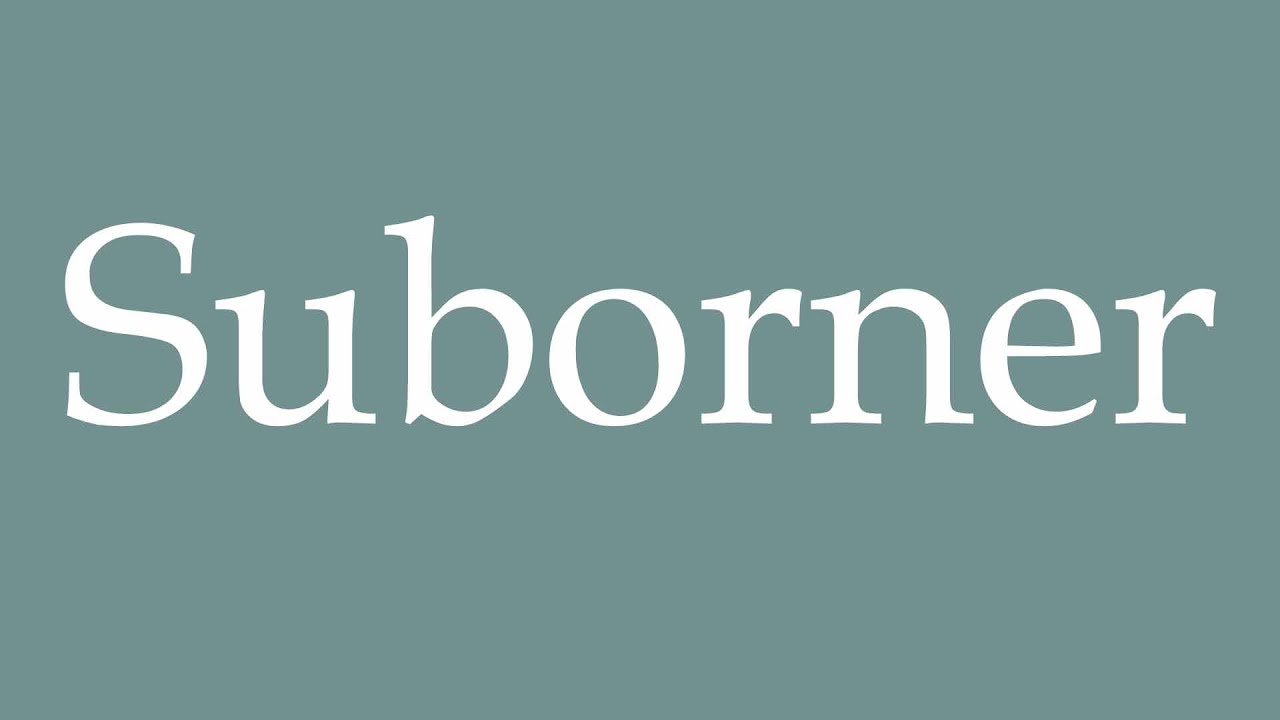 How to Pronounce ''Suborner'' Correctly in French - YouTube