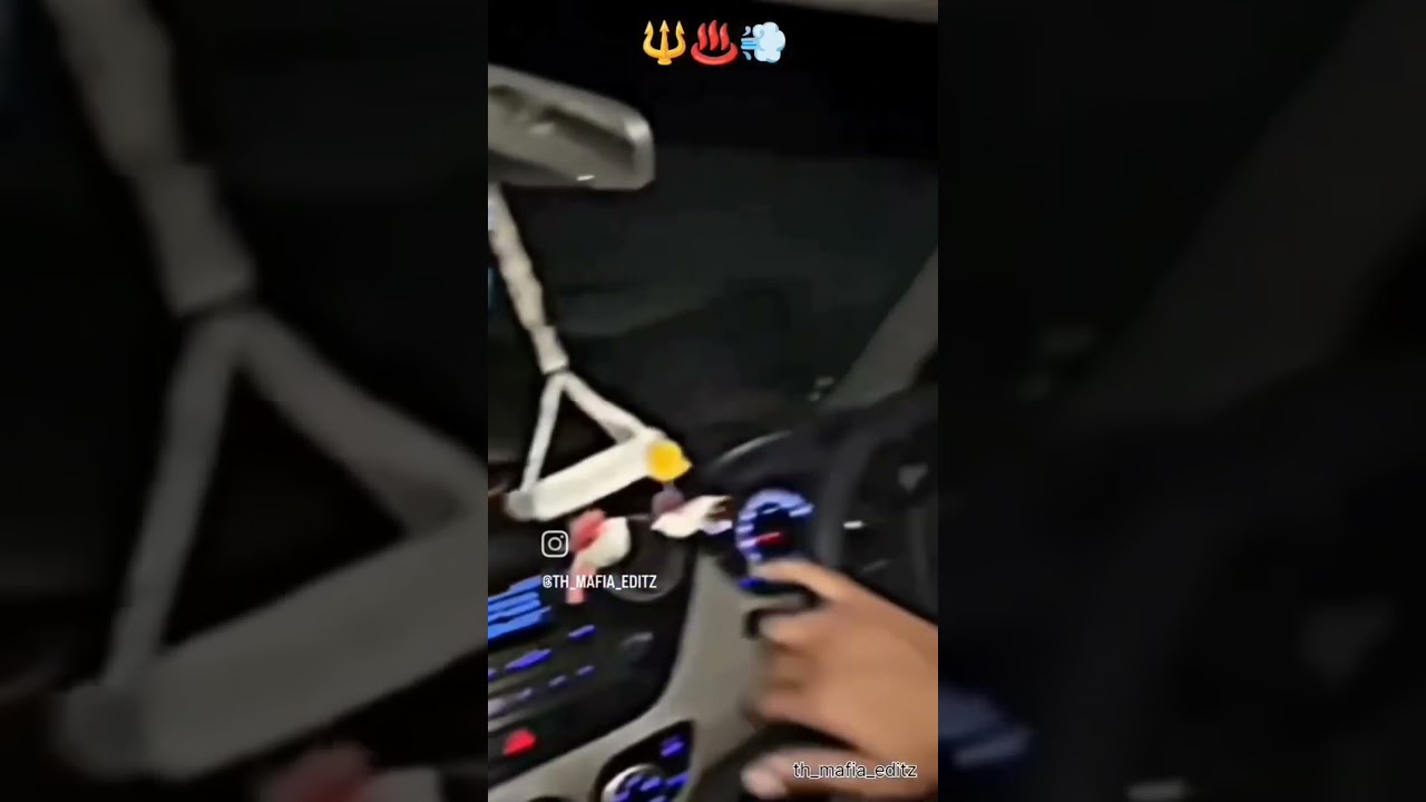 ❗Dogle log 🤬                                  ♨️