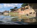 Rome River Sounds | Tiber Flow Under Ponte Cestio 4K