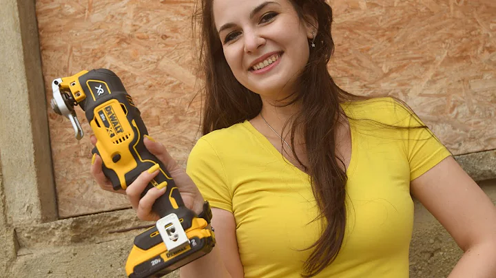 Dewalt Multitool belt clip