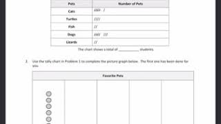 Third Grade Module 6 Picture/Tally Graph Reteach