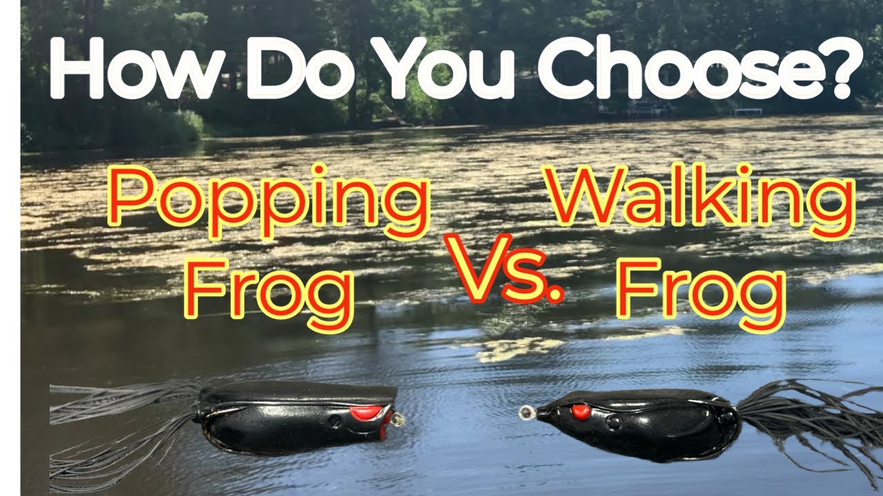 Popping Frog vs. Walking Frog YouTube