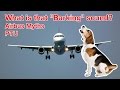 MYSTERIOUS BARKING SOUND on AIRBUS? All about the PTU explained by "Captain"Joe