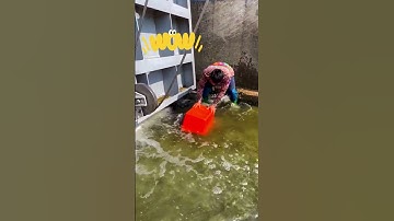 Viral Fishing video , #fishing #handfish #fishingtrap #fish #nature #shorts #youtubeshorts #trend