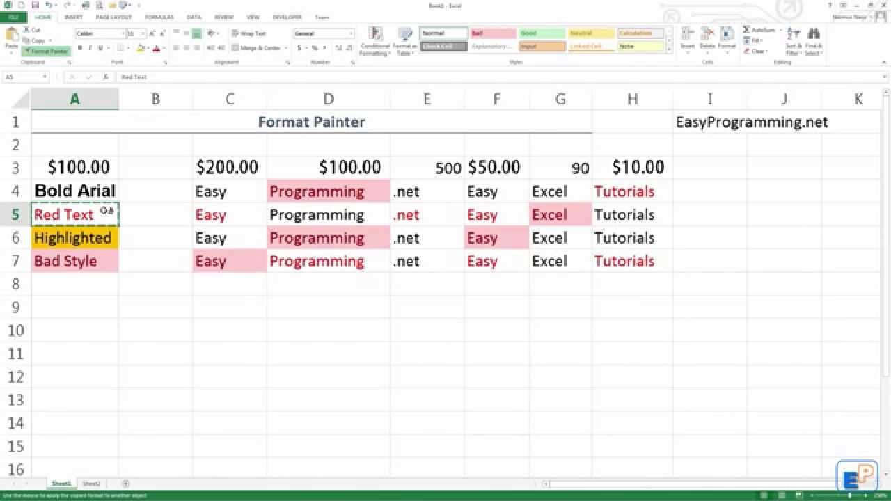 Easy Excel 2013 Beginner Excel Tutorial Format Painter (9) YouTube