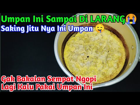Racikan Umpan Mancing Bawal
