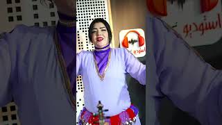 سعيد الخريبكي سيرو ليها