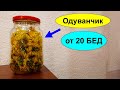 Настойка цветков одуванчика на водке от 20 недугов и болезней Как сделать Настойку цветов ОДУВАНЧИКА