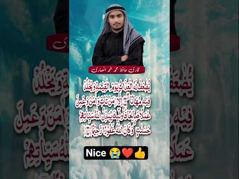 Wakana Allahu Ghafoor-ur-Raheem | Surah Furqan | Qari Hafiz Taha #shorts #shortvideo #youtubeshorts