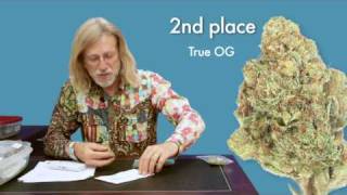Jorge Cervantes: 2010 High Times Medical Cup - Indica