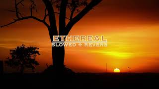 Download Lagu wizard - faces of love (slowed + reverb) MP3 Download Lagu wizard - faces of love (slowed + reverb) MP3
