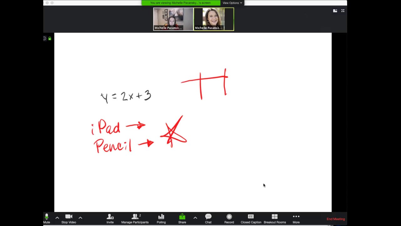 How to Present a Remote Whiteboard Lecture with Zoom, an iPad, and a  digital pencil tool