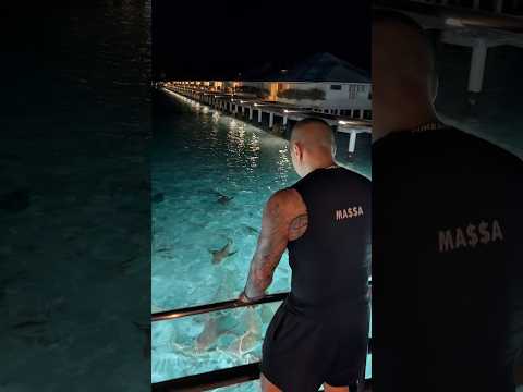 Faqat Akulani Bolalari Bilan KunduziSuzgani Duxi Yetgan Do’sting 💀