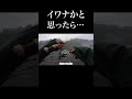 イワナかと思ったら…