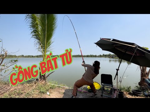 Tập 31 | Hành trình săn hàng khủng tại hồ câu Nông trại vui vẻ Củ Chi | VY HAN FISHING