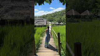 【ラオス旅行】初めて翻訳機使ってみたら楽しさ倍増した