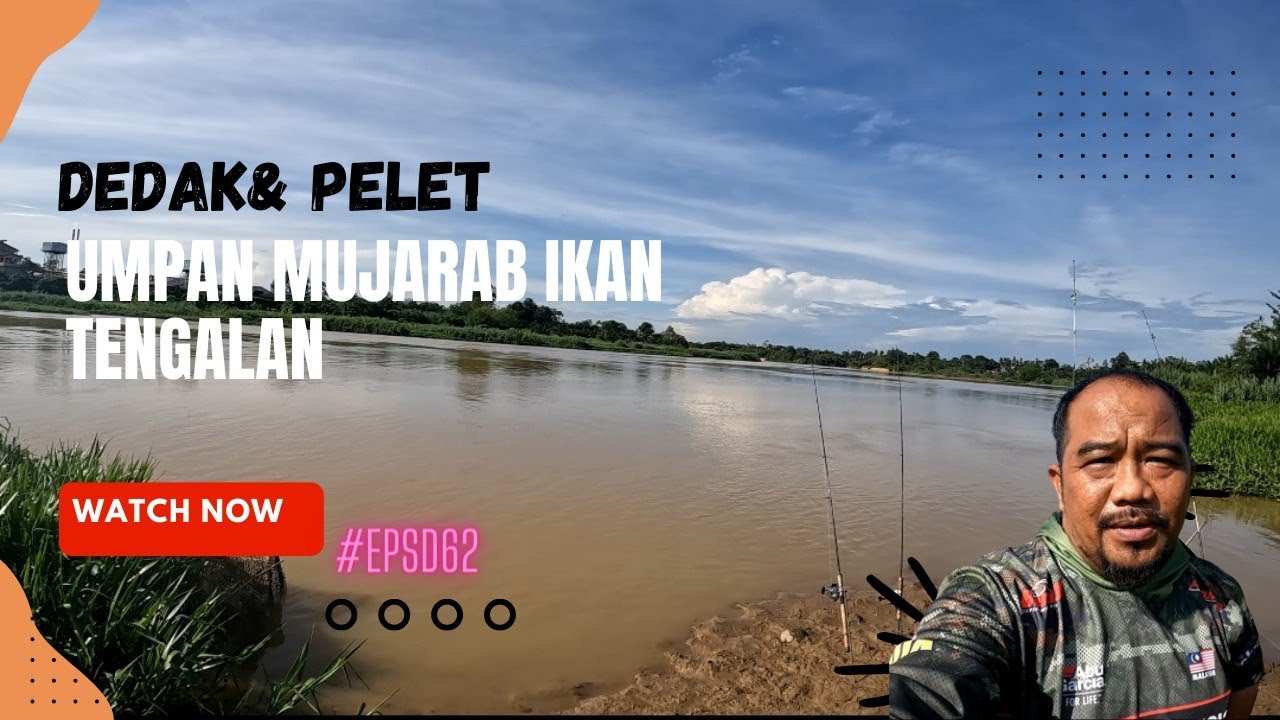 Mancing Ikan Tengalan Sungai Perak..Umpan Dedak Campuran ,Cara Berkesan Nak dapatkan nya. #Epsd62