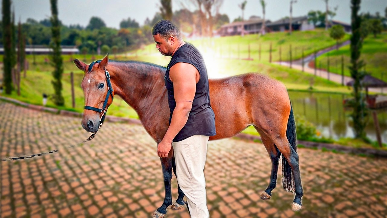 BITELO GANHOU CAVALO DE RAÇA PARA O SEU VÔ