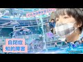 【自閉症×知的障害】アクアパーク品川→偏食児をホテルのディナーに連れて行く/特別支援学校の二年生★