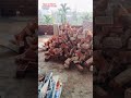 Red bricks joining Wall 🧱  #constructionredbricks