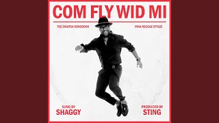 Video thumbnail of "Shaggy - Fly Me to the Moon"