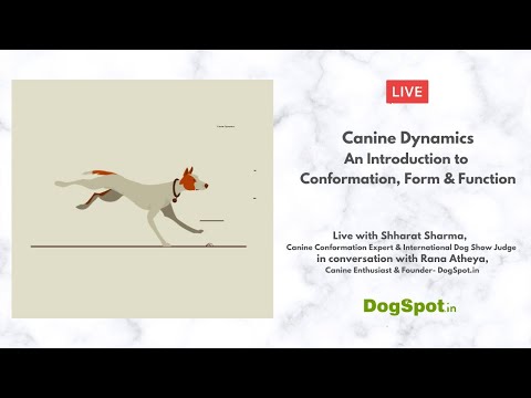 Canine Dynamics- An Introduction to Conformation, Form & Function