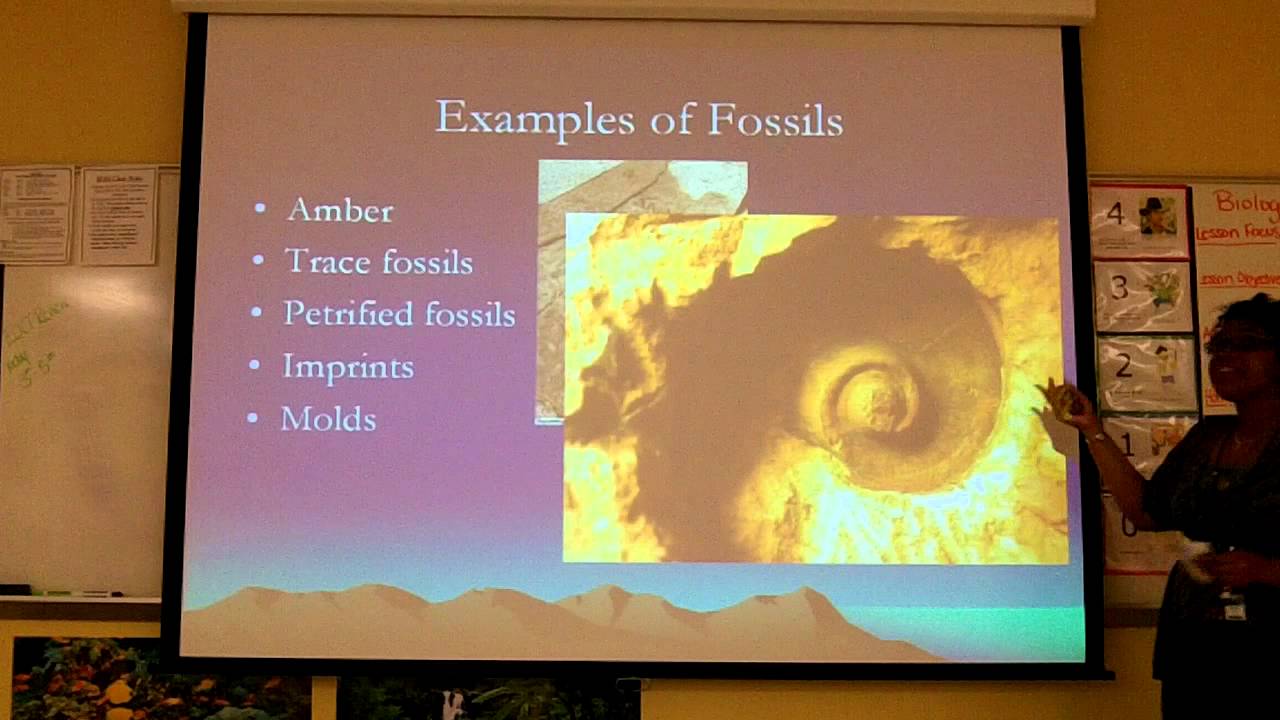 Evidence of Life Lecture