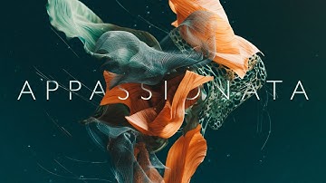 OUT NOW: Spitfire Appassionata Strings