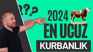 2024 Yılı En Ucuz Kurbanlık Fiyatı Buradakurbanlık Nereden Alınırhisse Fiyatları Kaç Para Oldu