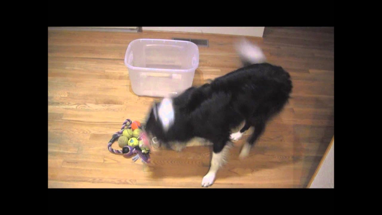 Zip Tricks 2_03032013